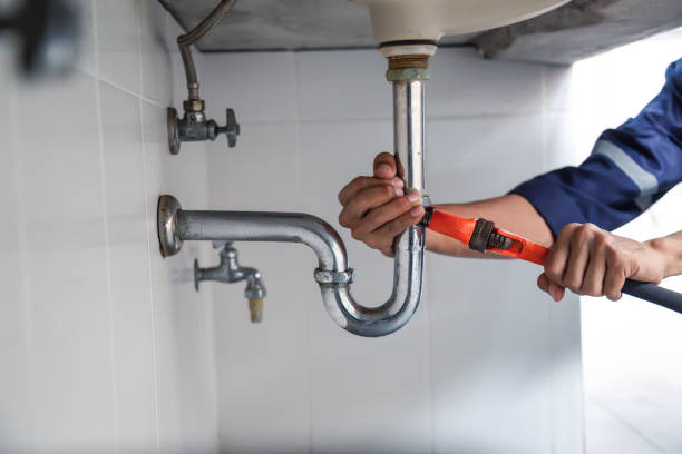 Best Clogged Drain Plumber  in Wayne, MI